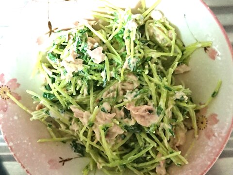 豆苗とツナのマヨあえ